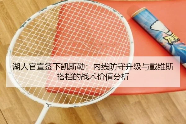 湖人官宣签下凯斯勒：内线防守升级与戴维斯搭档的战术价值分析